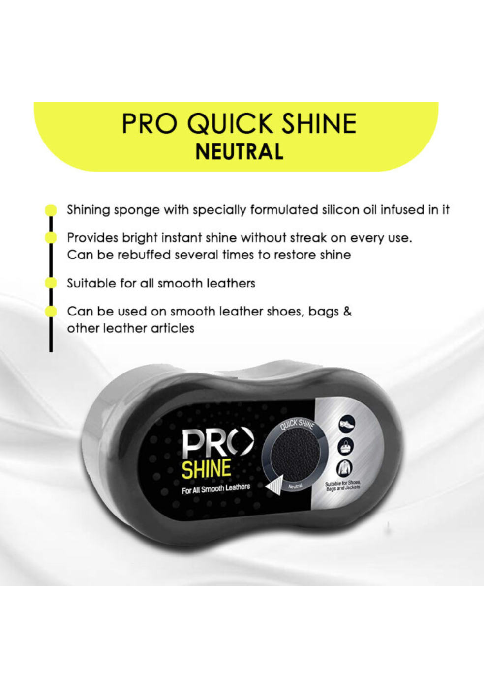 Pro Quick Shoe Shiner